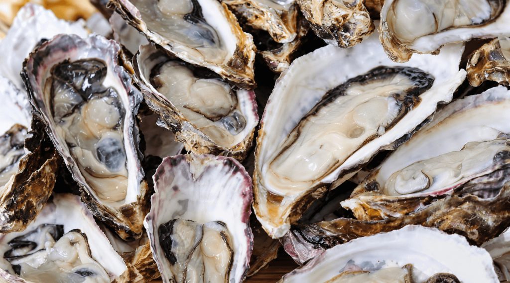 Mt. Pleasant Seafood